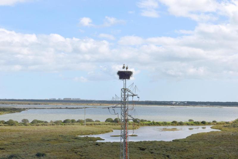 floronsac_ebro_delta_valdepanas_huelva_022