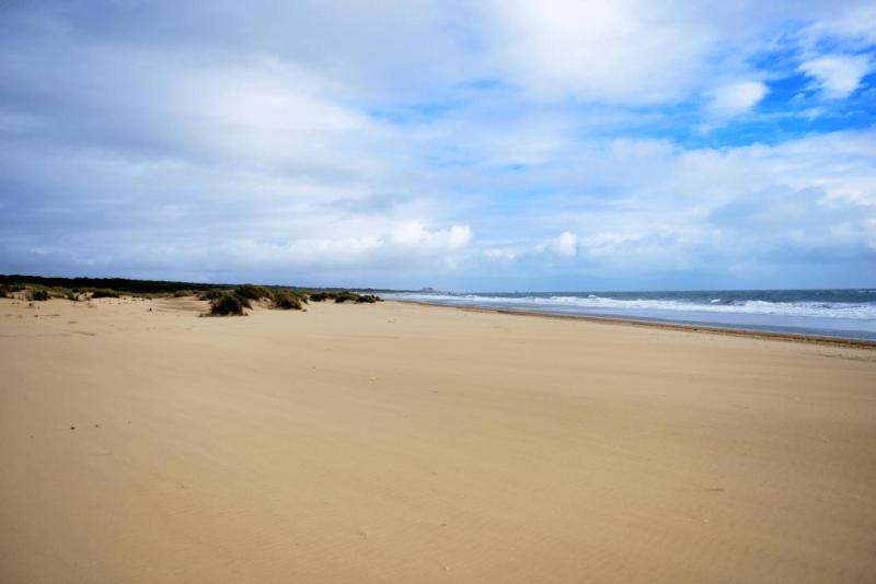 floronsac_ebro_delta_valdepanas_huelva_023