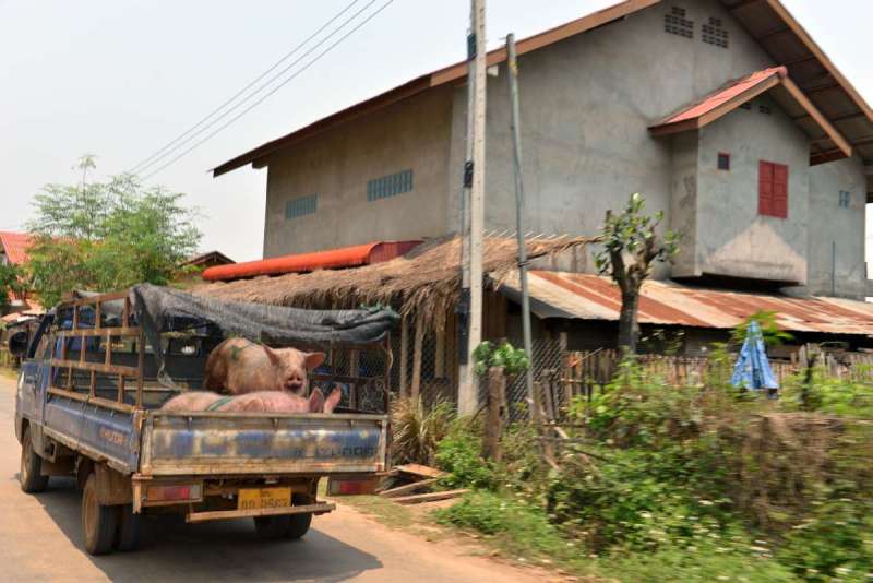 huiai_xai_0011