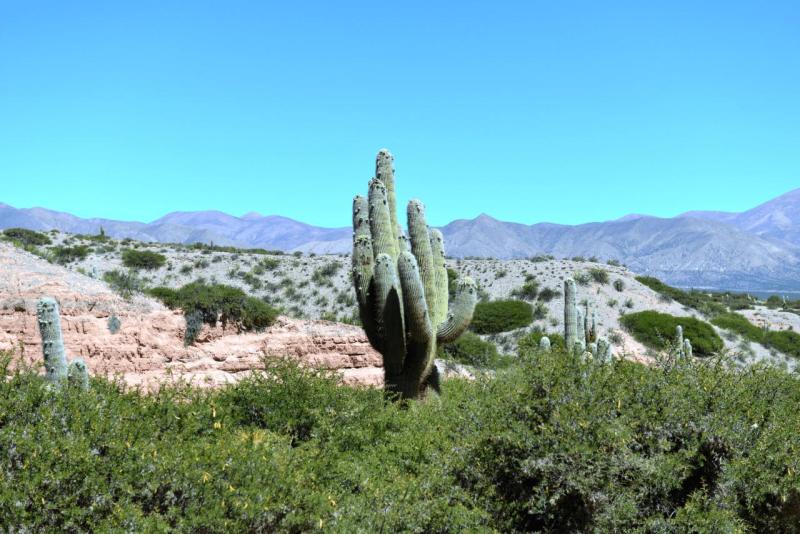humahuaca_0025