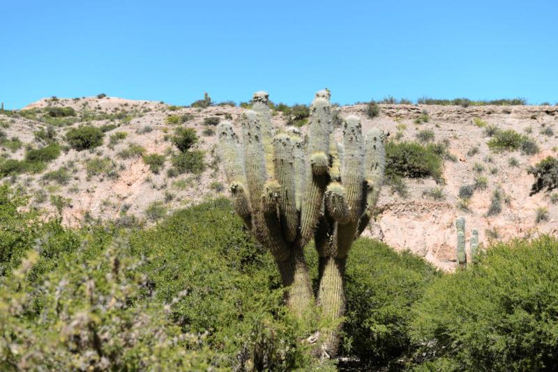 humahuaca_0026