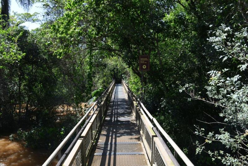 iguazu_waterfalls_003