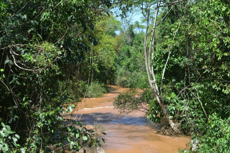 iguazu_waterfalls_018