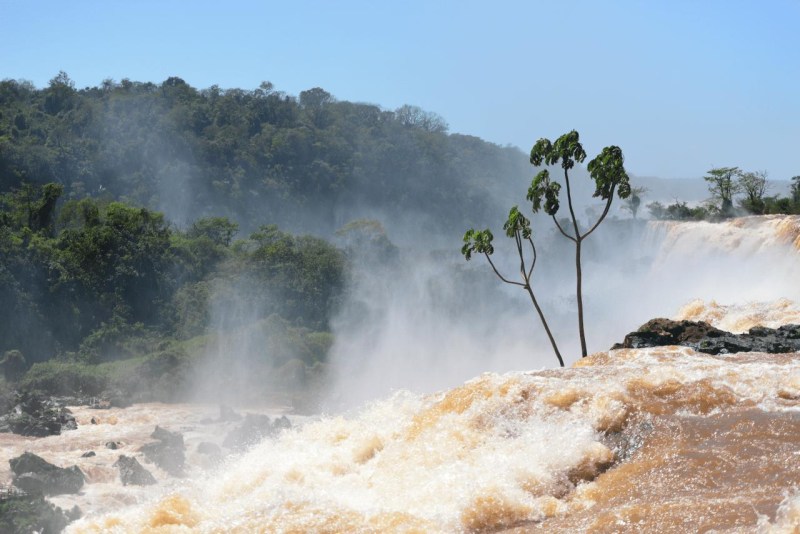 iguazu_waterfalls_024