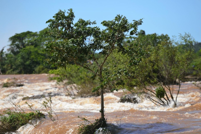 iguazu_waterfalls_025