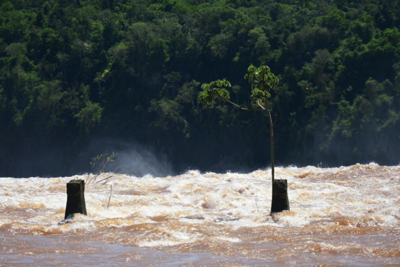 iguazu_waterfalls_031