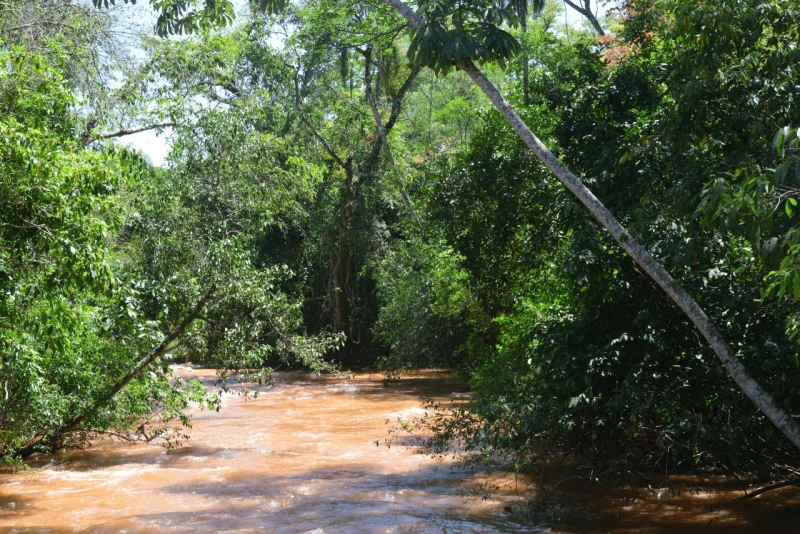 iguazu_waterfalls_037