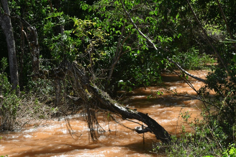 iguazu_waterfalls_038