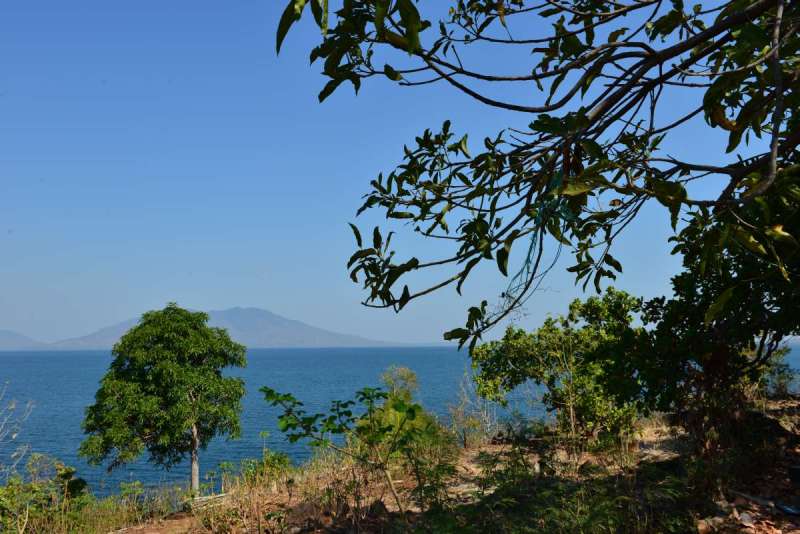 Indonesia_larantuka_0056