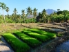 Indonesia_larantuka_0091