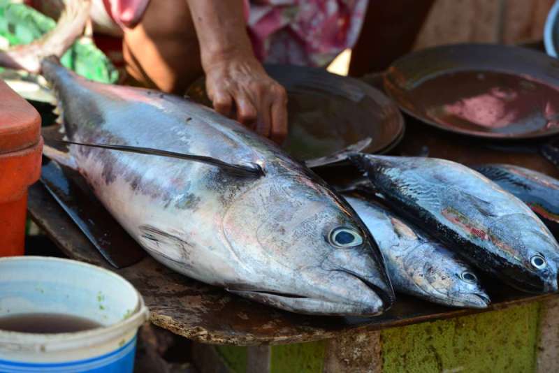 Indonesia_larantuka_bustour_0001