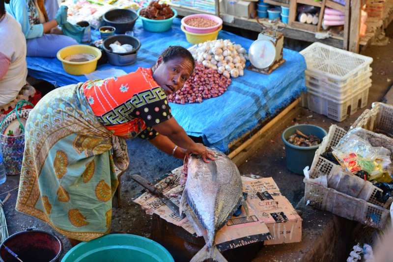 Indonesia_larantuka_bustour_0006