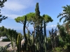 italia_islands_0086