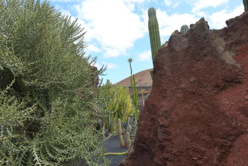 lanzarote_jardain_de_cactus_009