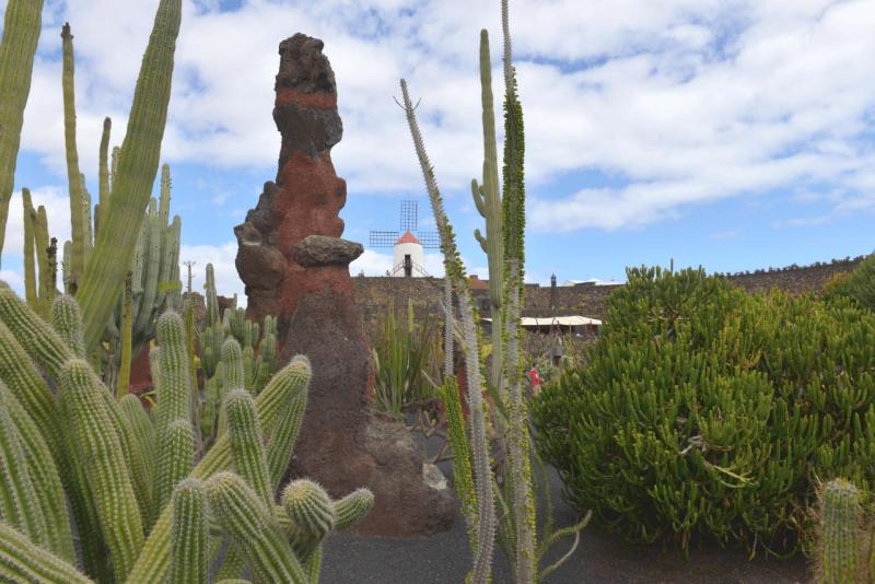 lanzarote_jardain_de_cactus_010