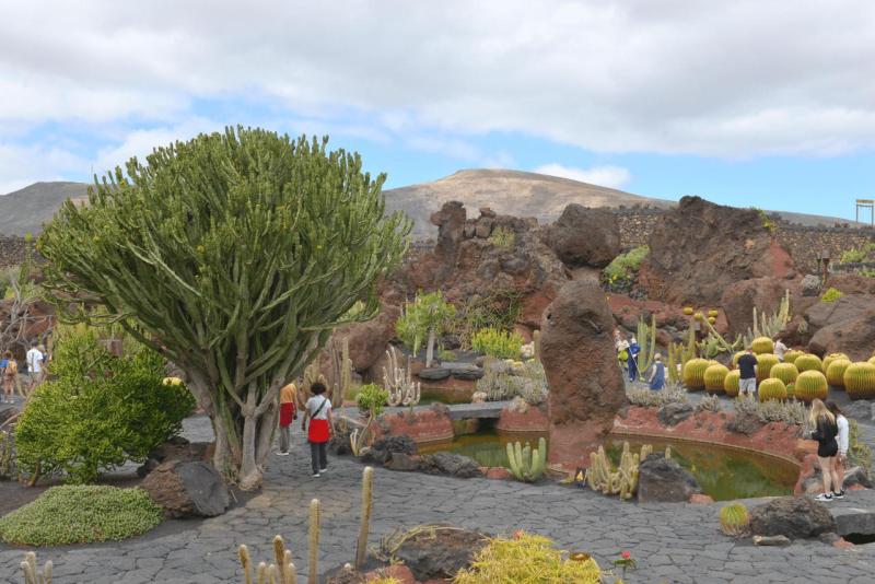 lanzarote_jardain_de_cactus_017
