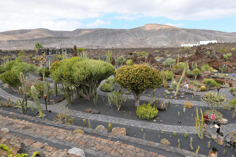 lanzarote_jardain_de_cactus_019