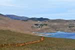 mani_kap_mapatan_0023