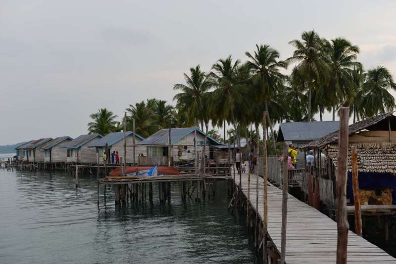 kelit_0086