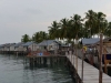 kelit_0086