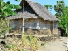 kisar_0036