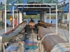 koh_pan_yi_0076