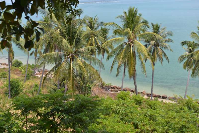 koh_yao_yai_0006