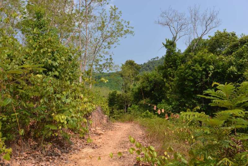 koh_yao_yai_0046