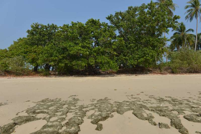 koh_yao_yai_0056