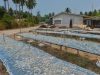 koh_yao_yai_0026
