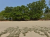 koh_yao_yai_0056