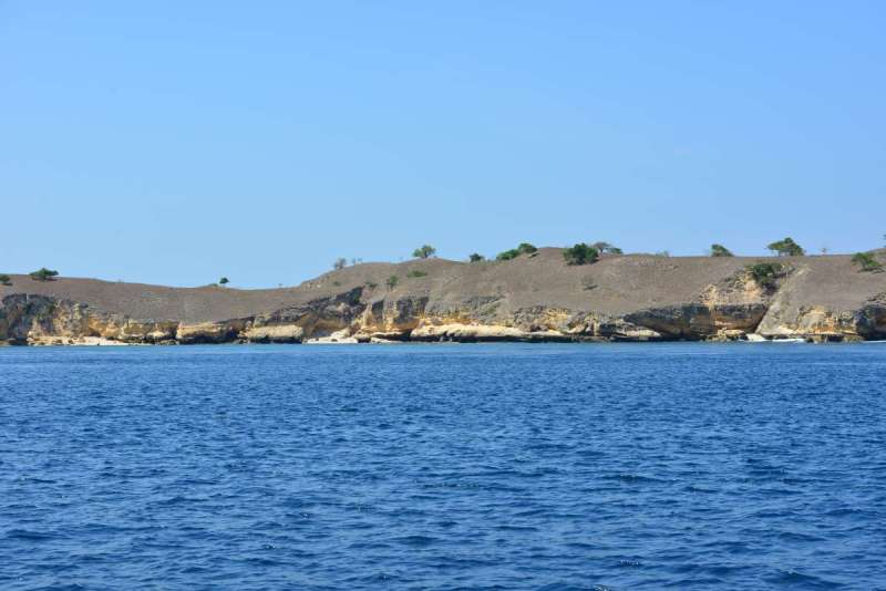 komodo_0016