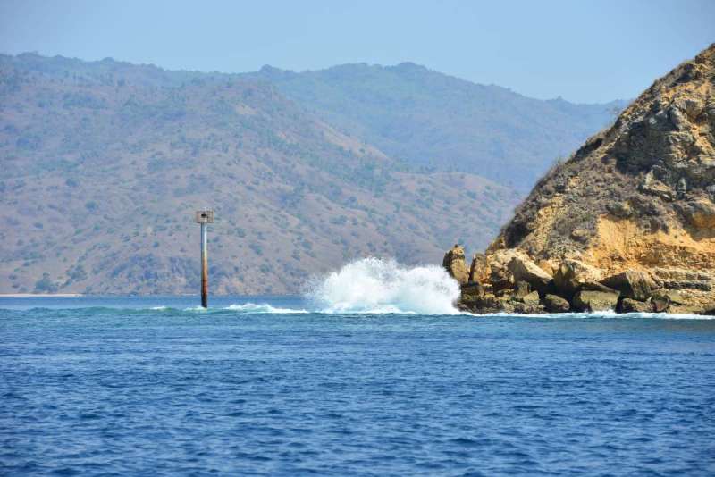 komodo_0021