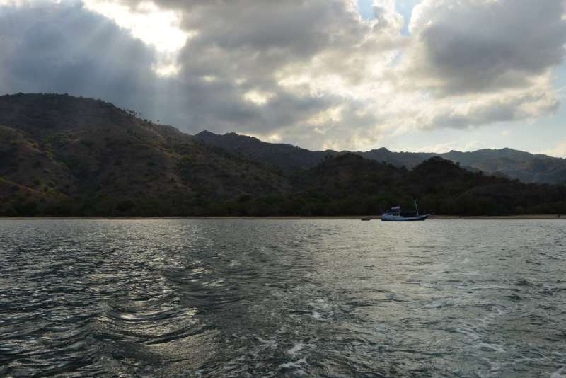 komodo_0041