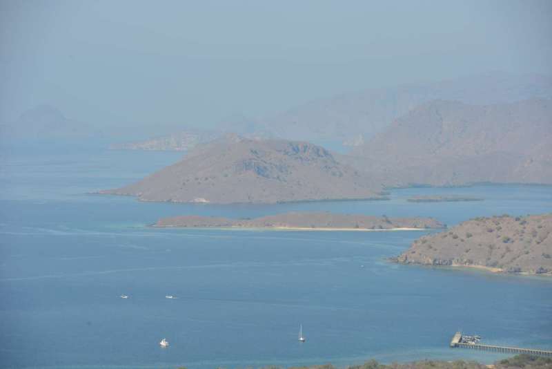 komodo_0086
