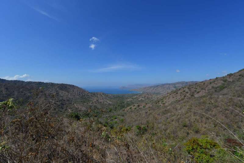 komodo_0091