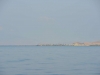 komodo_0001