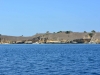 komodo_0016