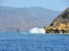 komodo_0021
