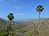 komodo_0076