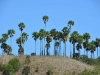 komodo_0096