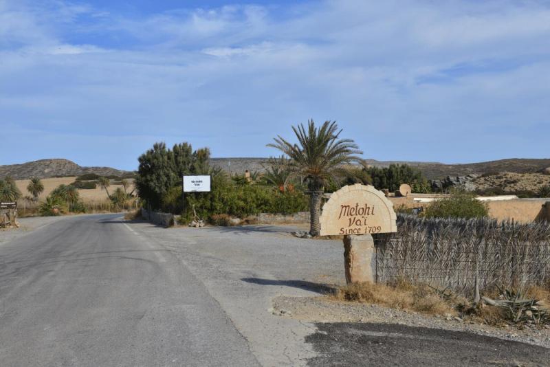 kreta_2024_vai_palm_beach_001