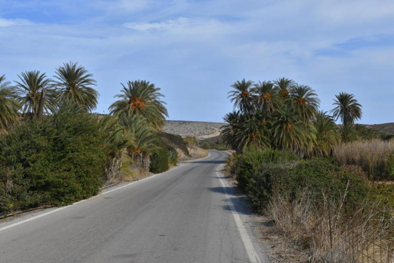 kreta_2024_vai_palm_beach_003