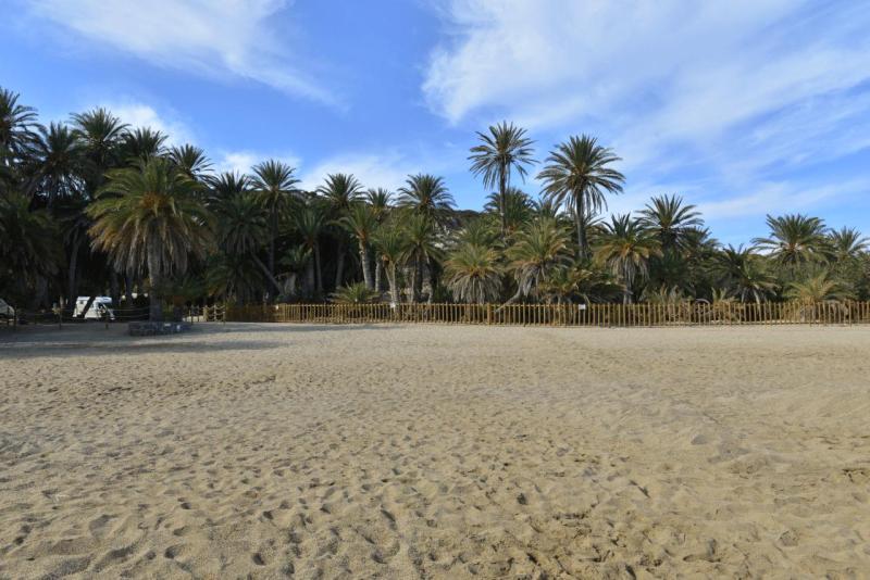 kreta_2024_vai_palm_beach_009