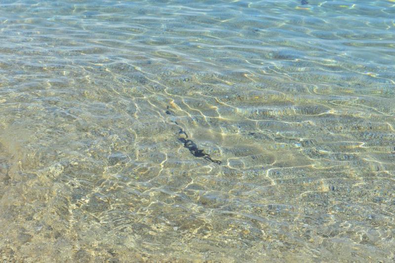 kreta_2024_vai_palm_beach_015
