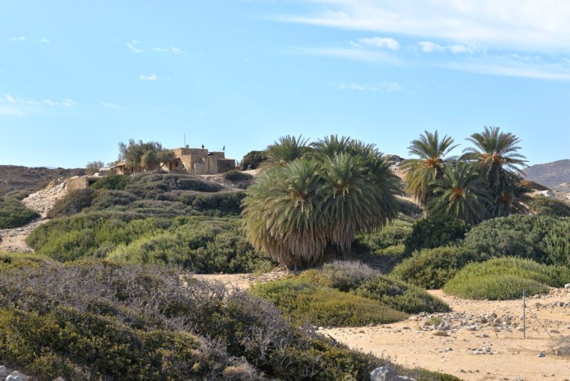 kreta_2024_itanos_023