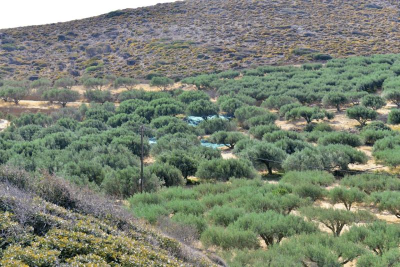kreta_2024_tenda_beach_019