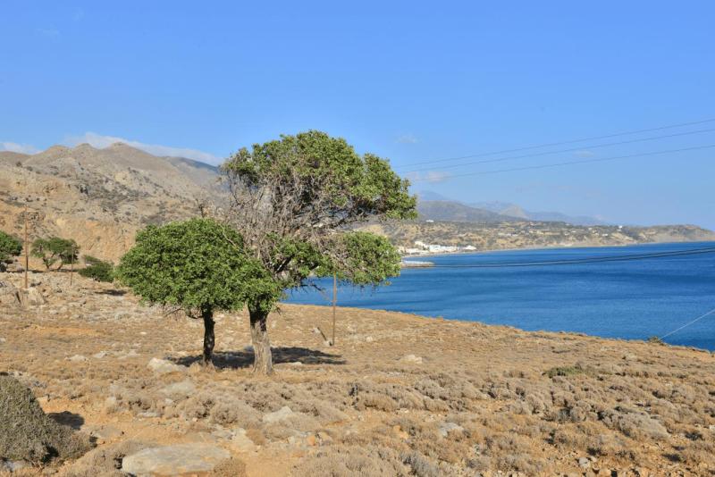 kreta_2024_Tsoutsouros_007