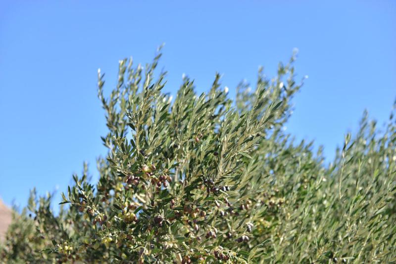 kreta_2024_kgo_01_019
