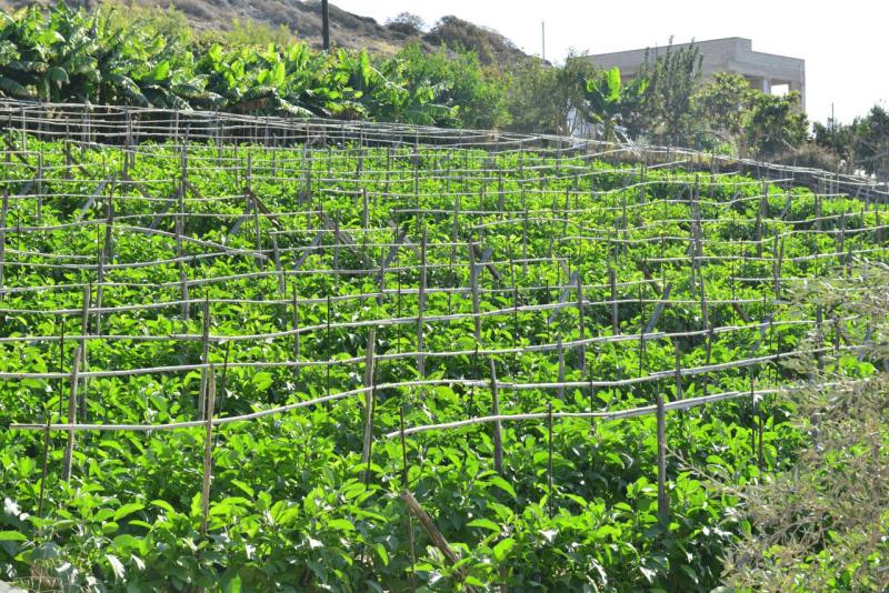 kreta_2024_sindonia_019